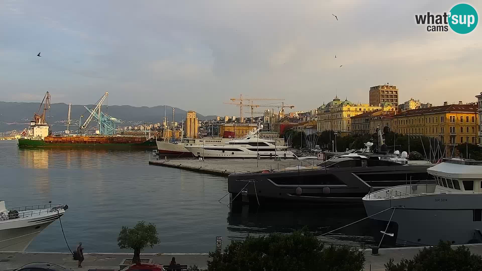 Riva i Marina u Rijeci – Web kamera uživo u Hrvatskoj