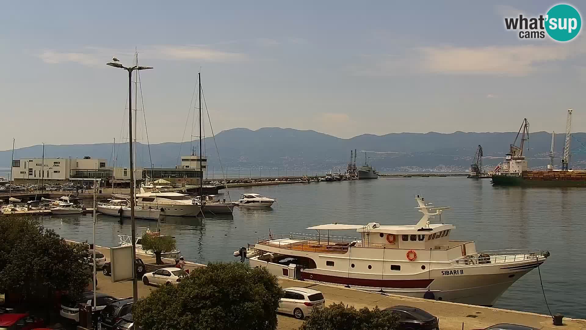 Riva i Marina u Rijeci – Web kamera uživo u Hrvatskoj