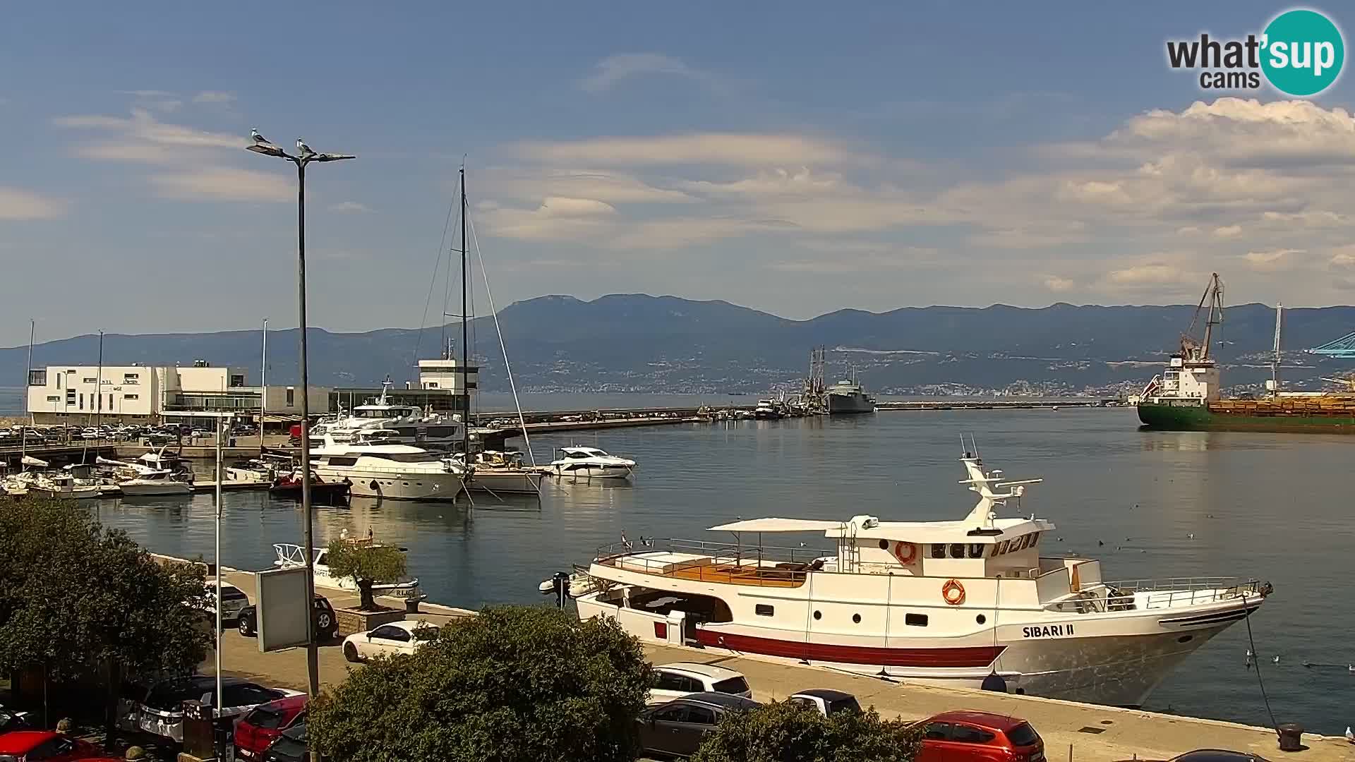 Riva i Marina u Rijeci – Web kamera uživo u Hrvatskoj