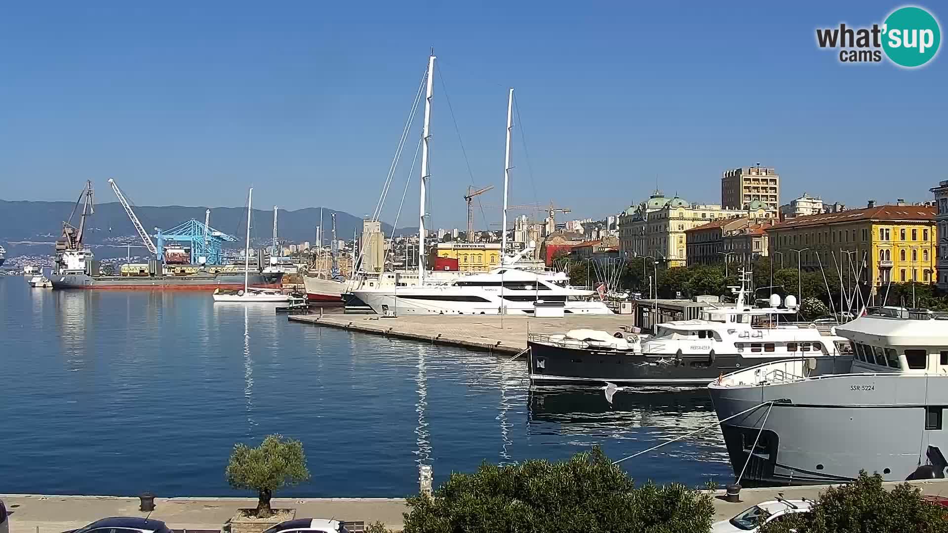 Riva i Marina u Rijeci – Web kamera uživo u Hrvatskoj