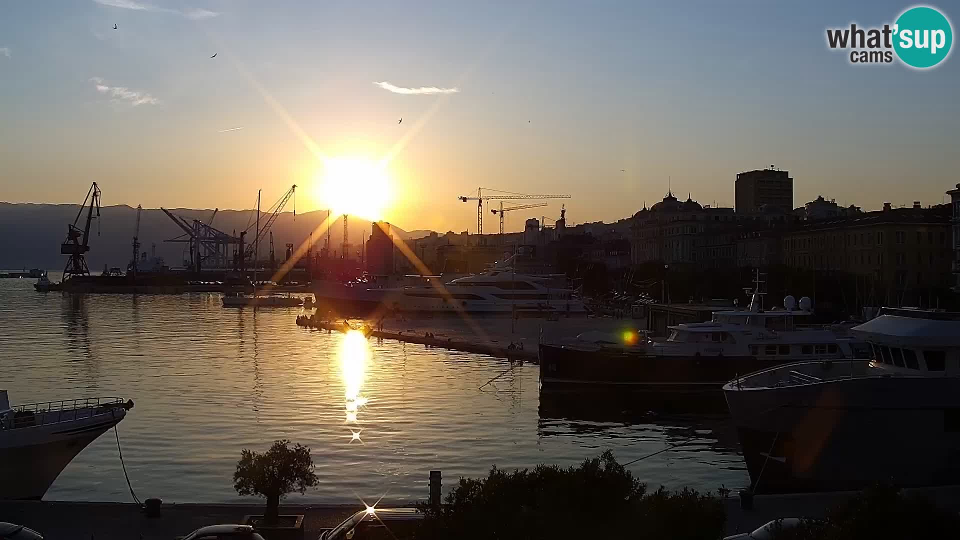 Die Riva und Marina in Rijeka – Live Webcam Kroatien