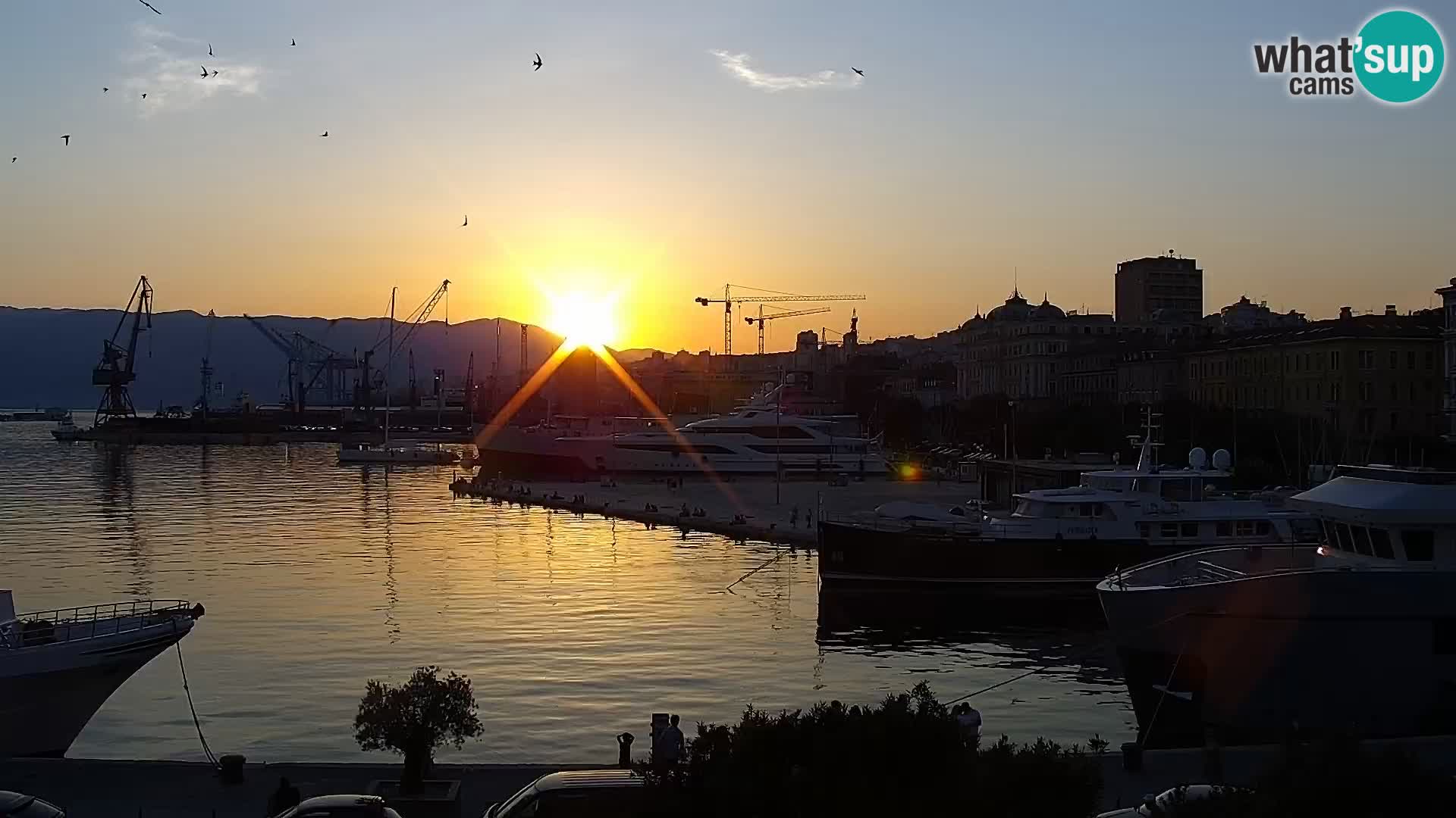 La Riva e la Marina a Rijeka (Fiume) – Live Webcam Croazia
