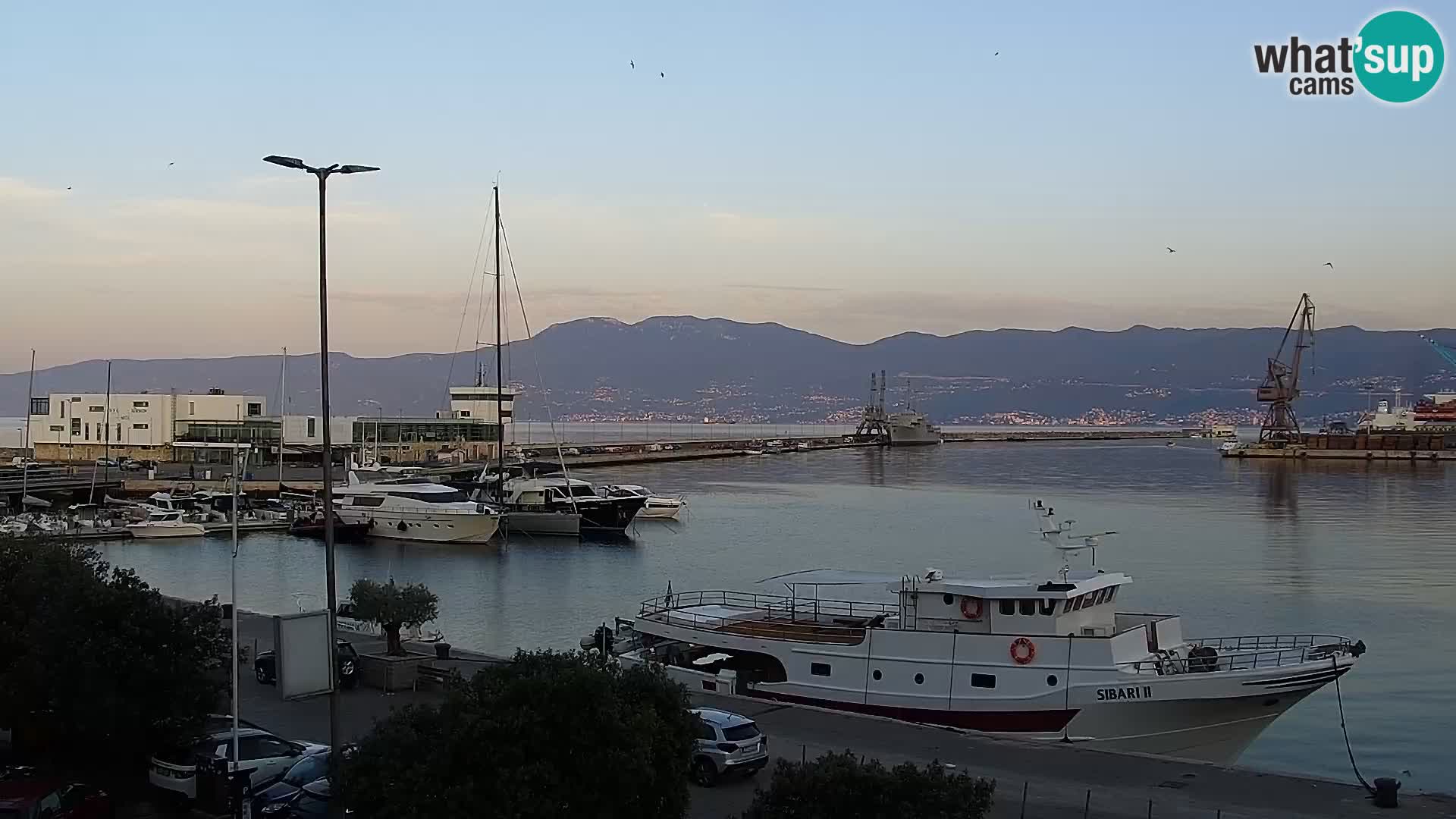 La Riva et Marina à Rijeka – Live Webcam Croatie