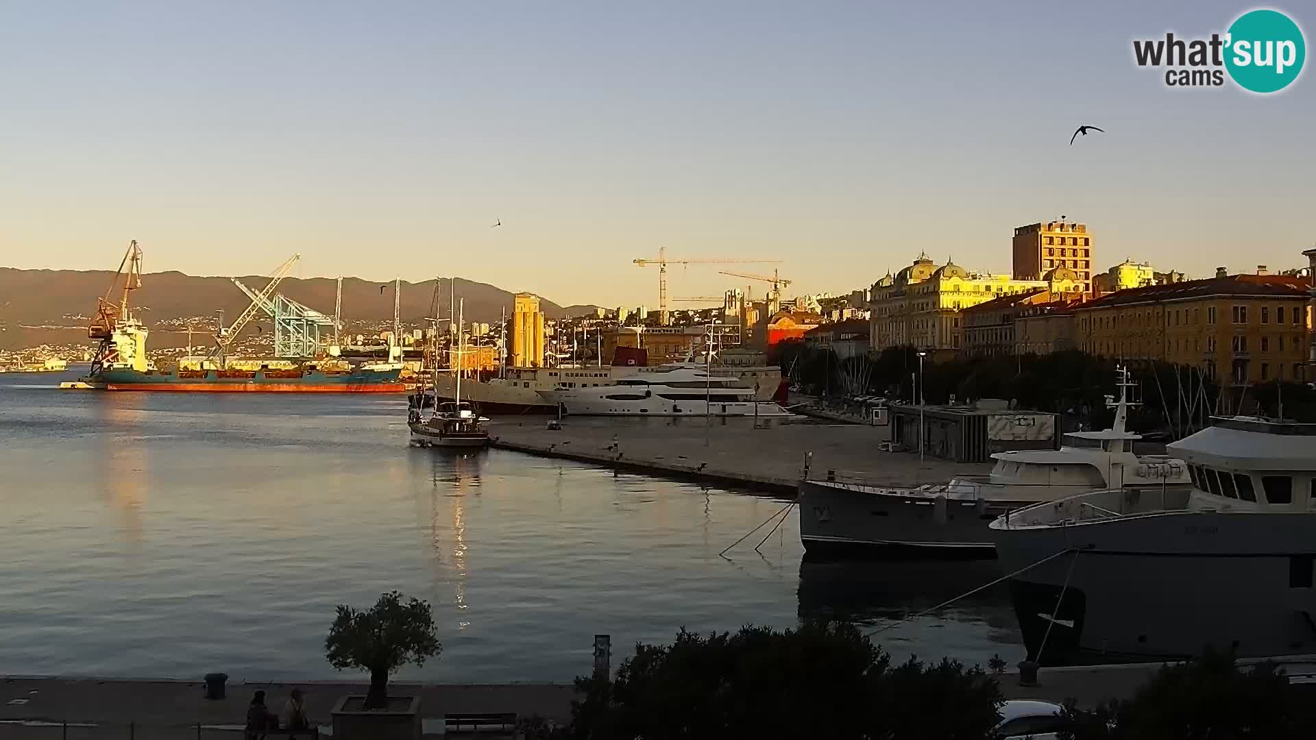 La Riva e la Marina a Rijeka (Fiume) – Live Webcam Croazia