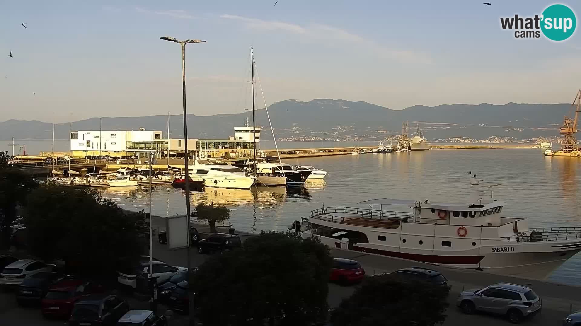 La Riva e la Marina a Rijeka (Fiume) – Live Webcam Croazia