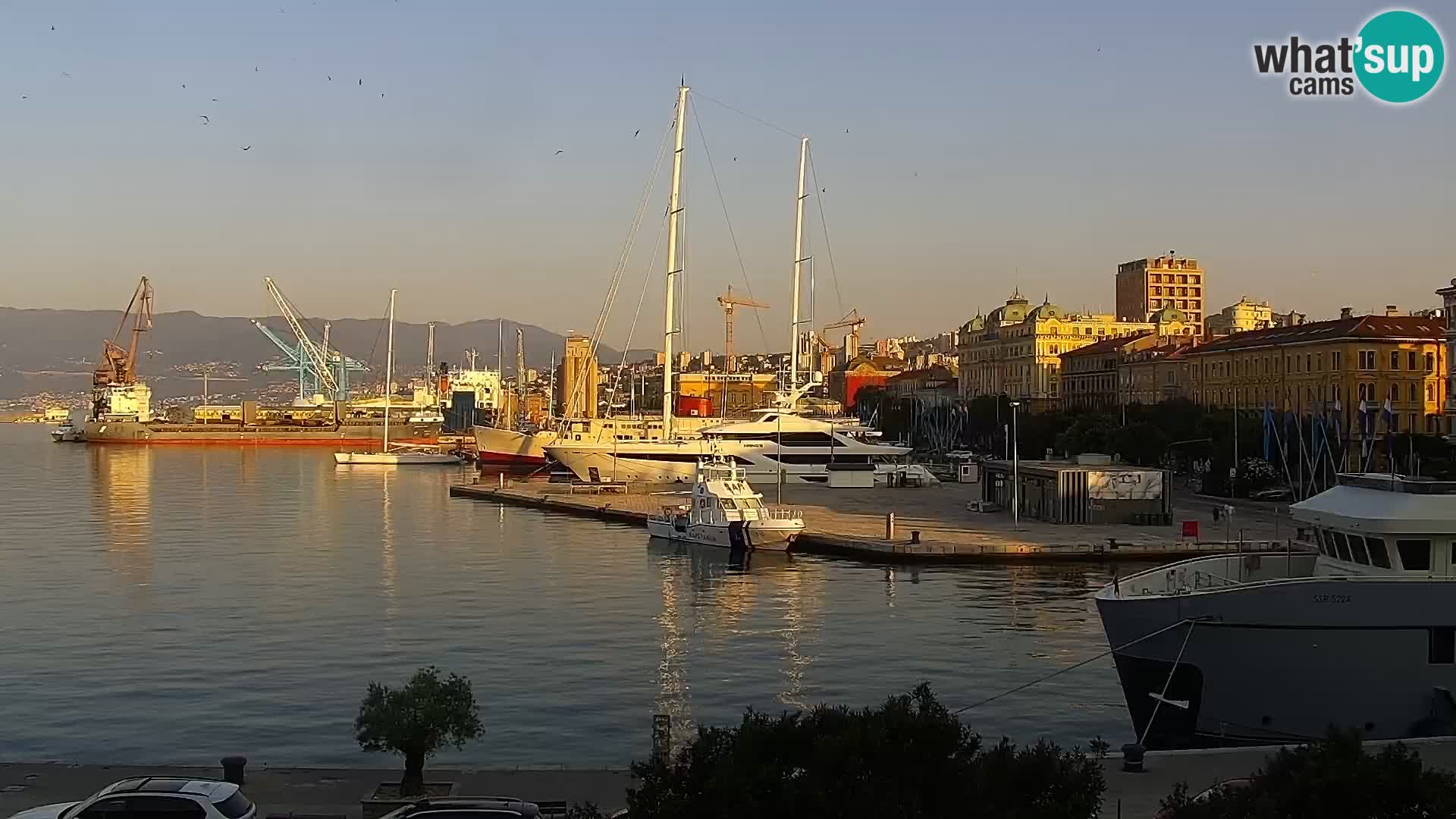 La Riva et Marina à Rijeka – Live Webcam Croatie