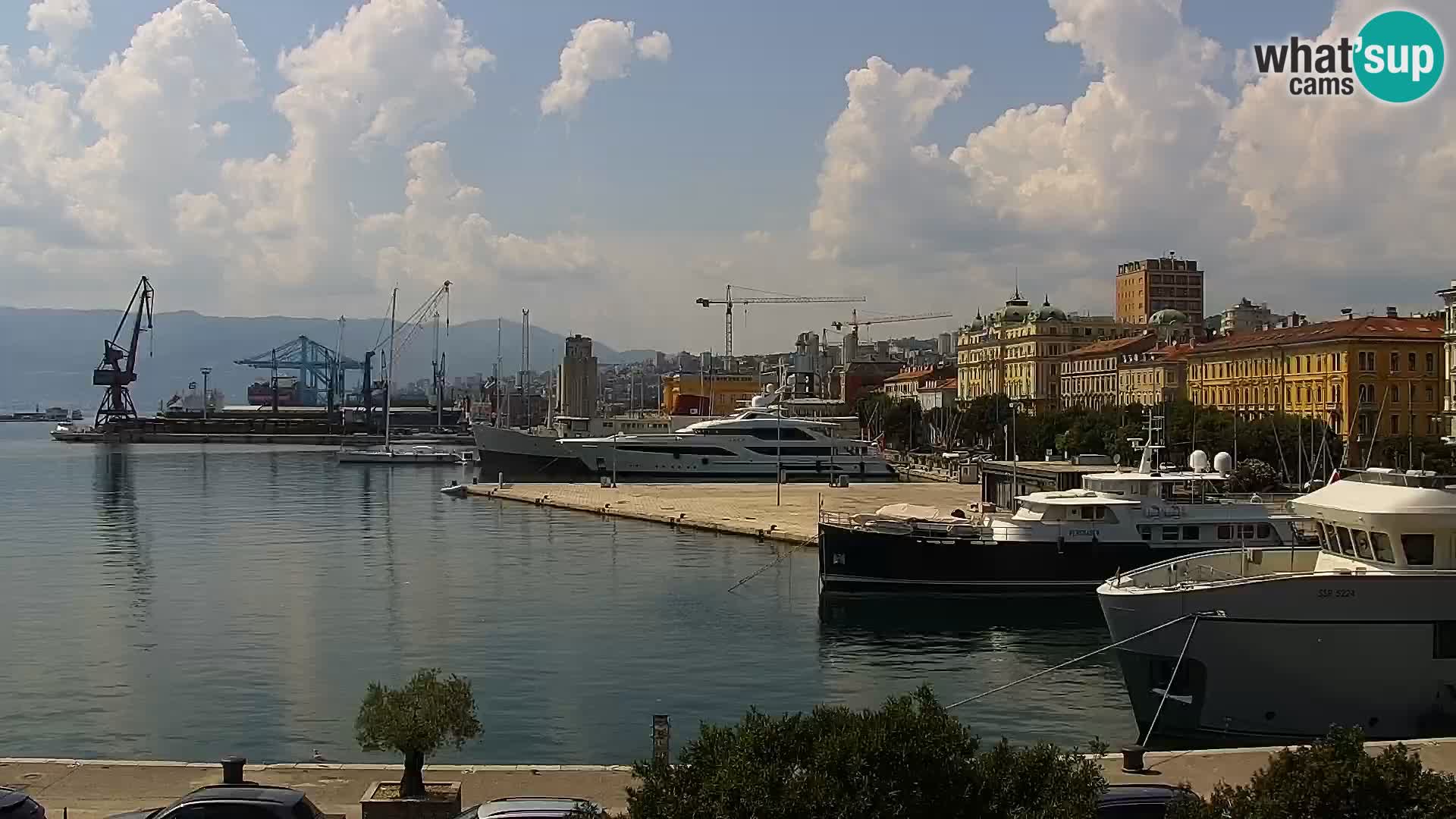 Riva i Marina u Rijeci – Web kamera uživo u Hrvatskoj