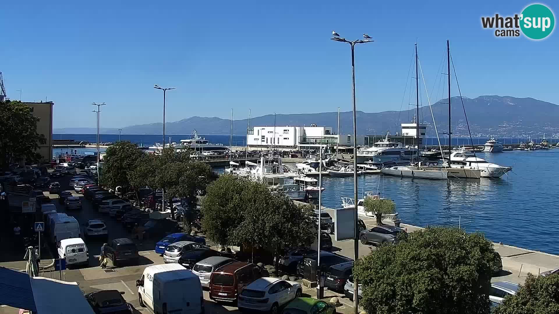 La Riva et Marina à Rijeka – Live Webcam Croatie