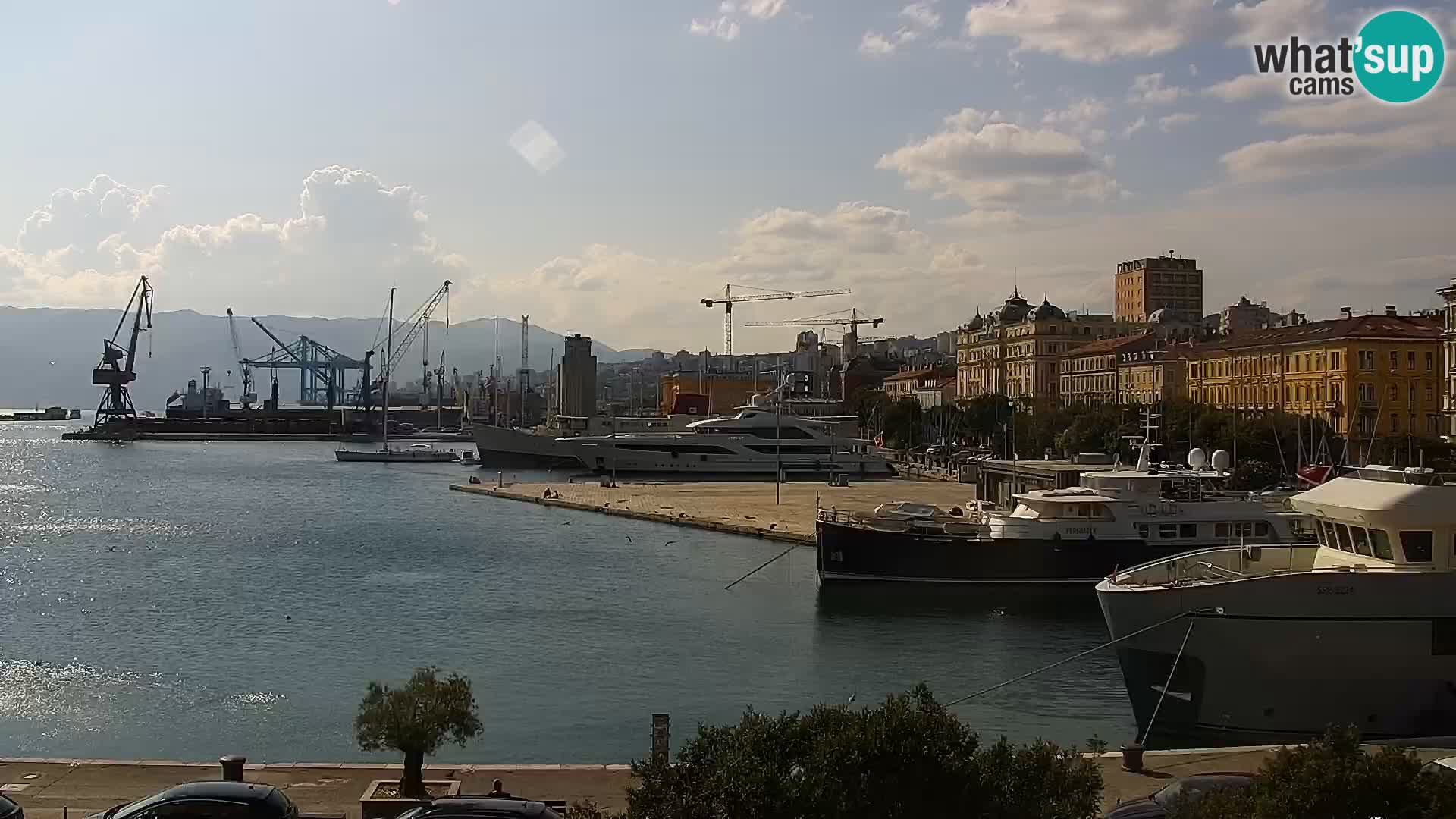 Riva i Marina u Rijeci – Web kamera uživo u Hrvatskoj