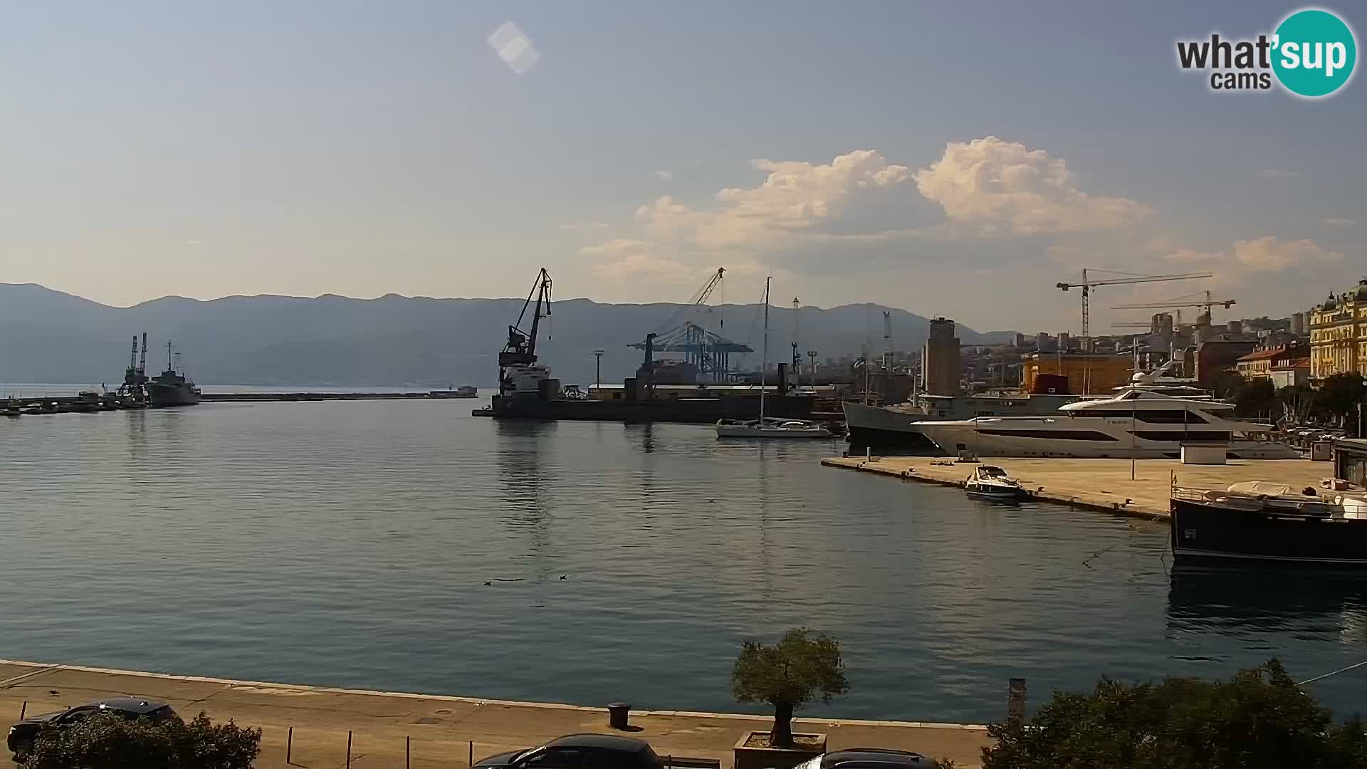 Riva i Marina u Rijeci – Web kamera uživo u Hrvatskoj