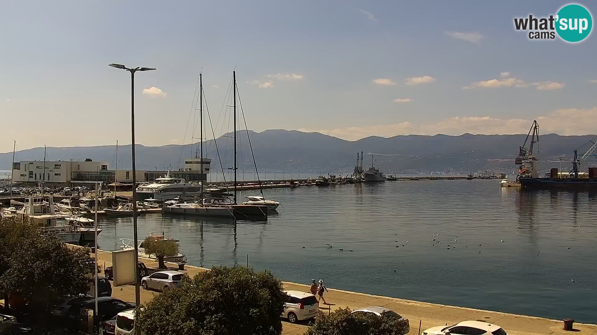 La Riva et Marina à Rijeka – Live Webcam Croatie