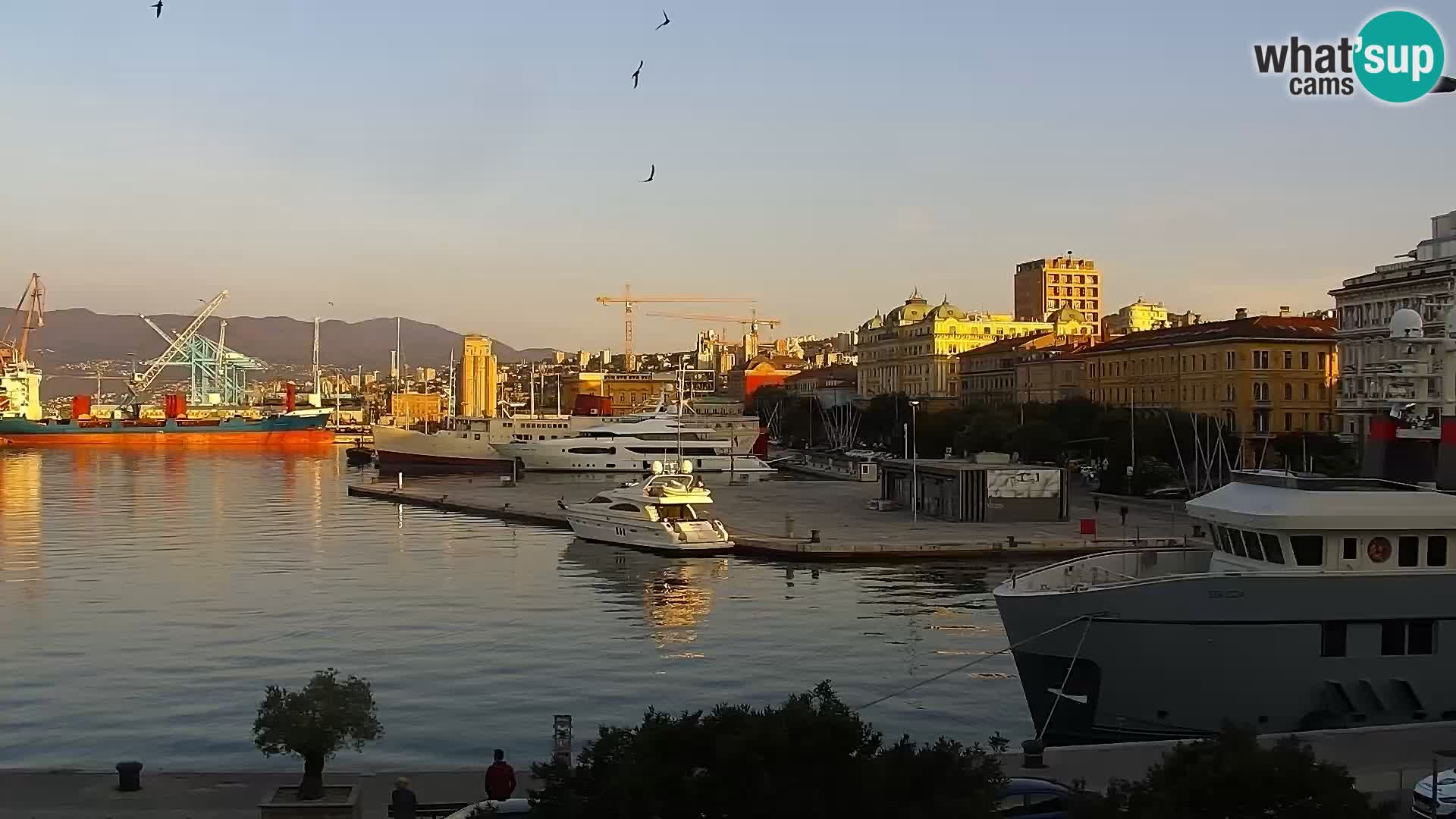 Riva i Marina u Rijeci – Web kamera uživo u Hrvatskoj