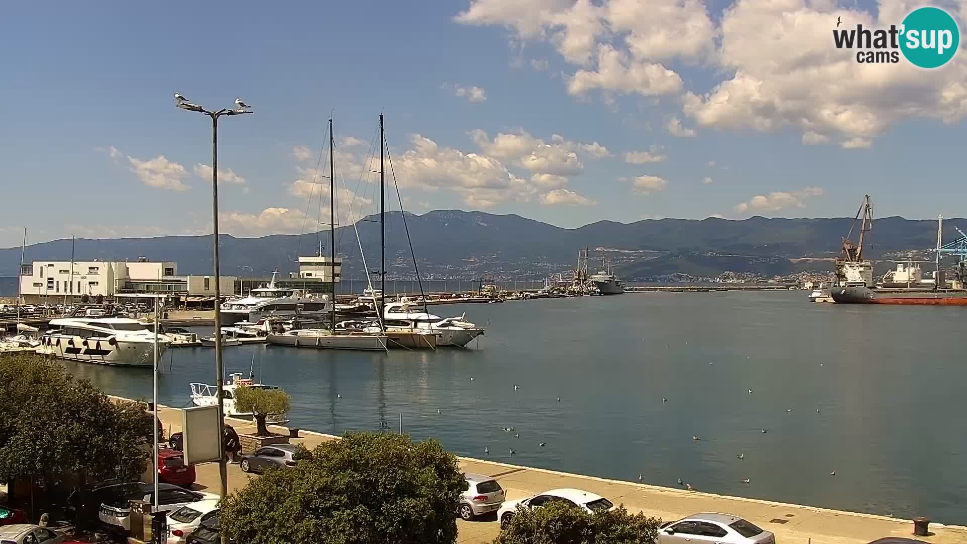 Die Riva und Marina in Rijeka – Live Webcam Kroatien