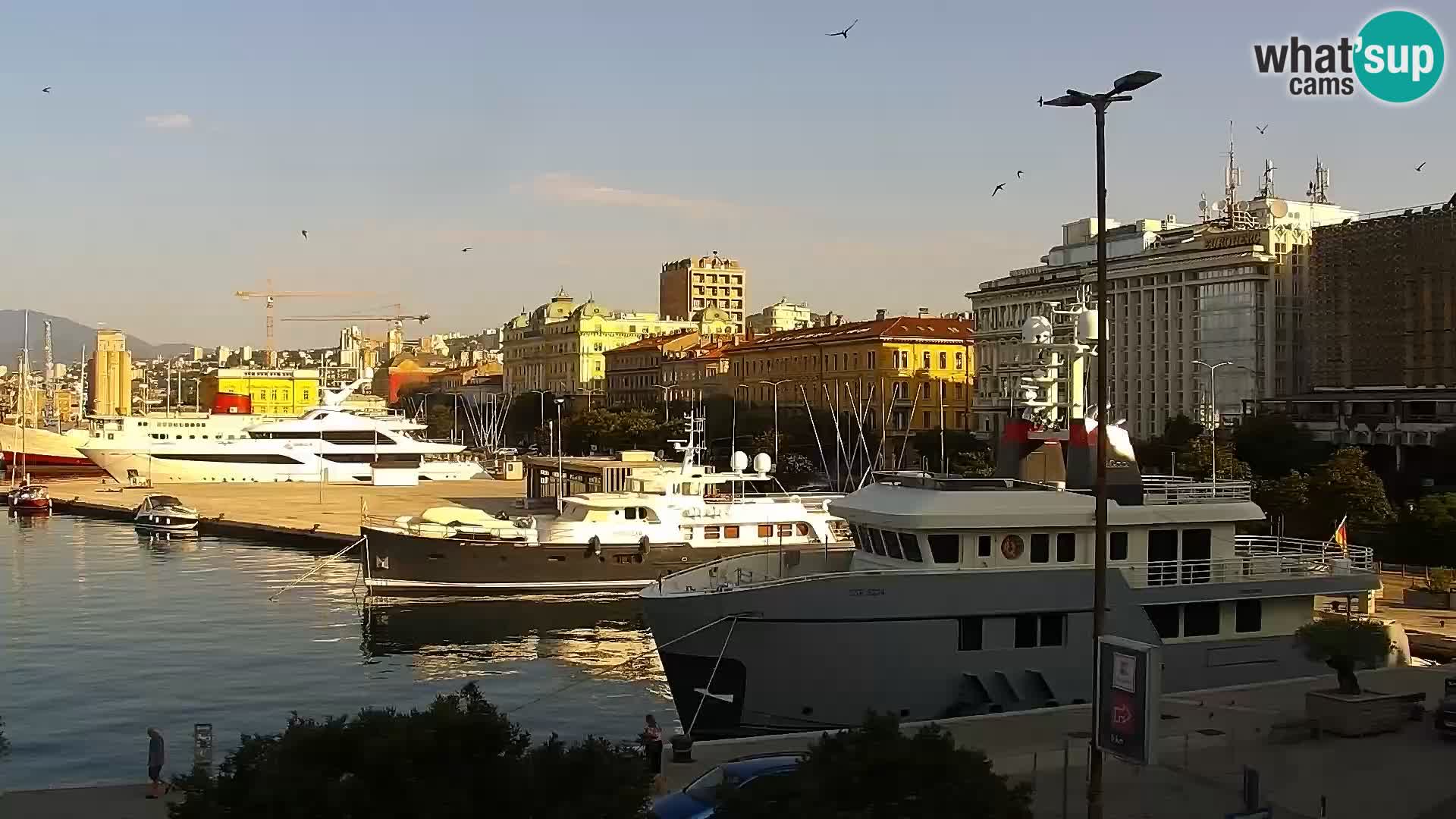 Die Riva und Marina in Rijeka – Live Webcam Kroatien