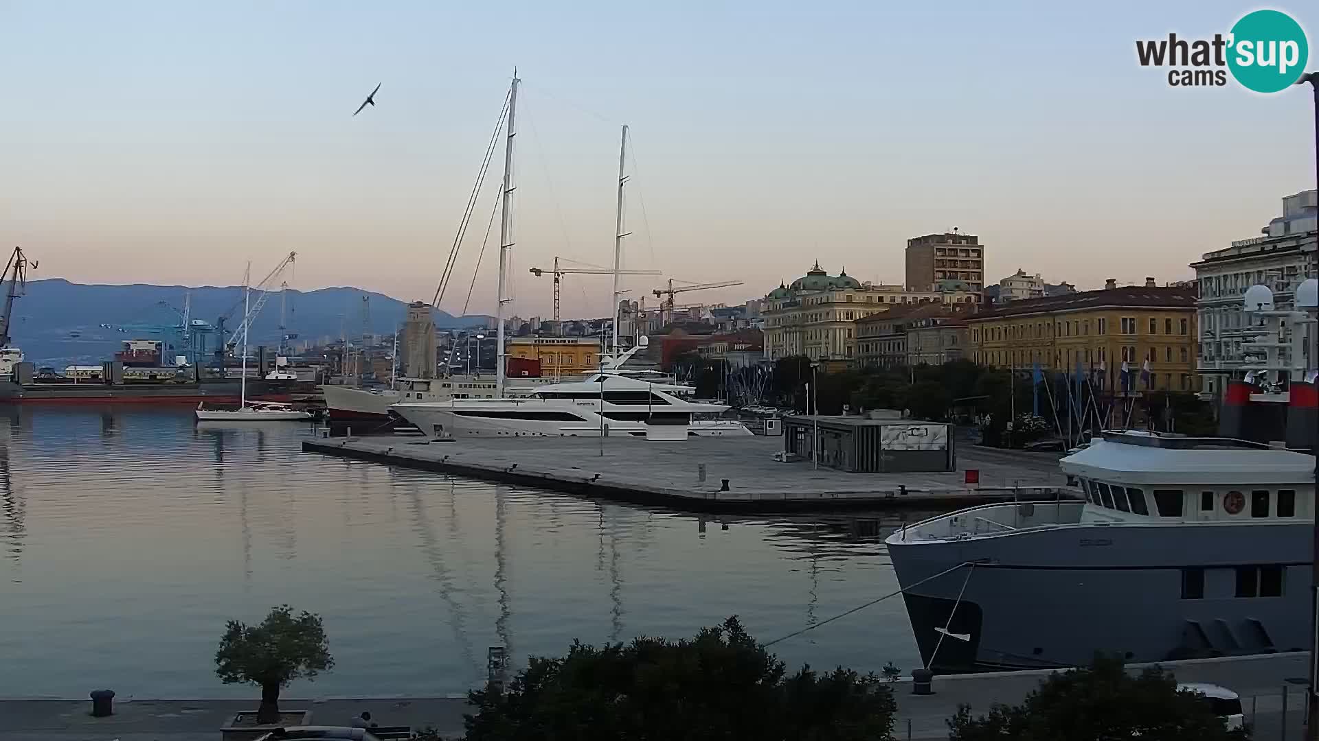 Riva i Marina u Rijeci – Web kamera uživo u Hrvatskoj