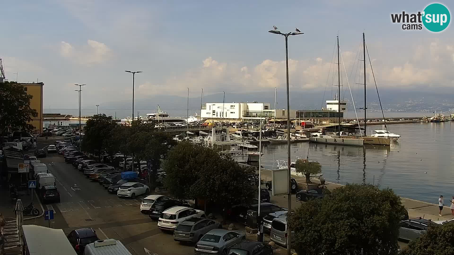Webcam European Coastal Airlines – Rijeka