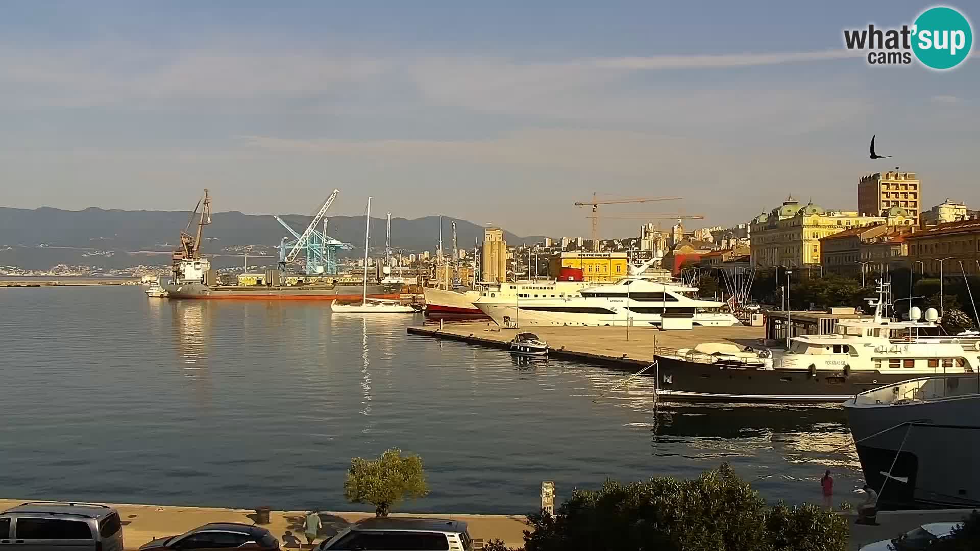 The Riva and Marina in Rijeka – Live Webcam Croatia