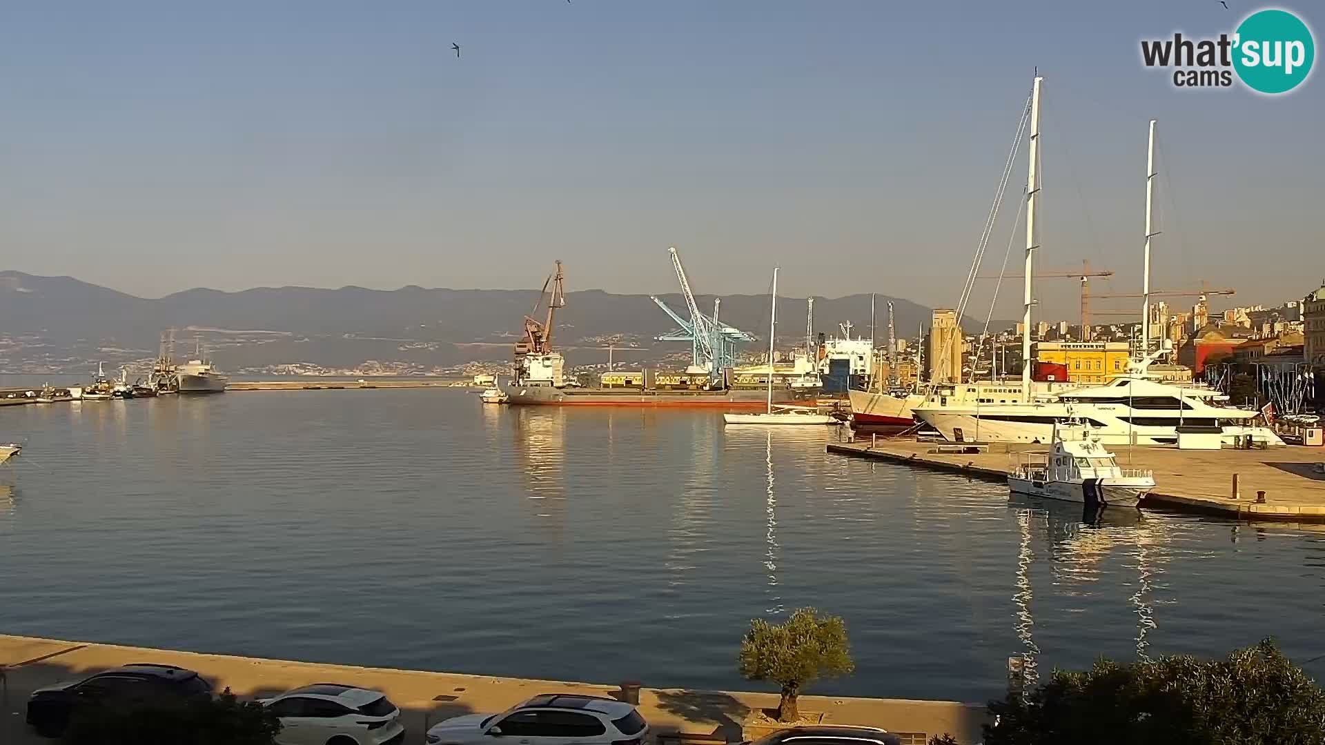 La Riva et Marina à Rijeka – Live Webcam Croatie