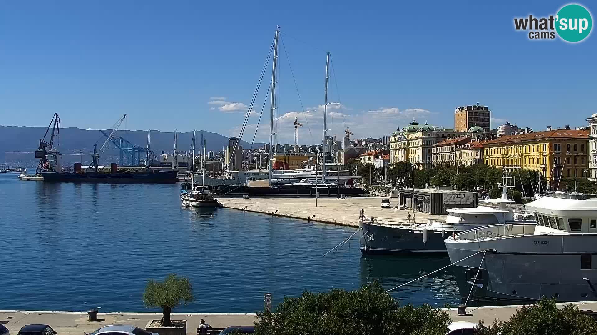 Riva i Marina u Rijeci – Web kamera uživo u Hrvatskoj
