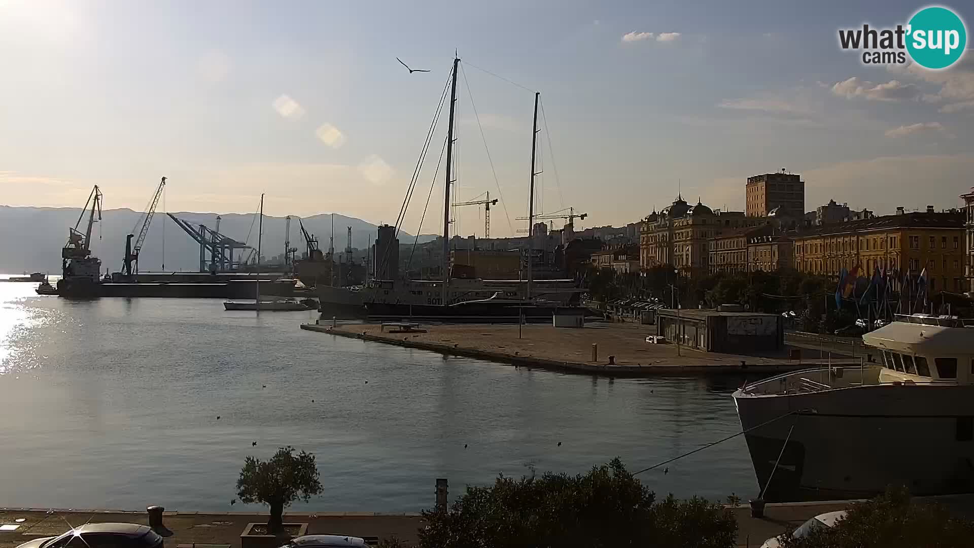 Die Riva und Marina in Rijeka – Live Webcam Kroatien