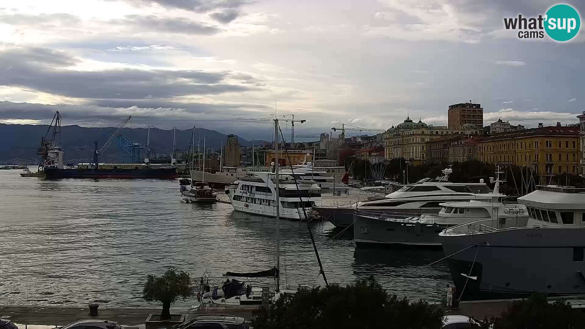Riva i Marina u Rijeci – Web kamera uživo u Hrvatskoj