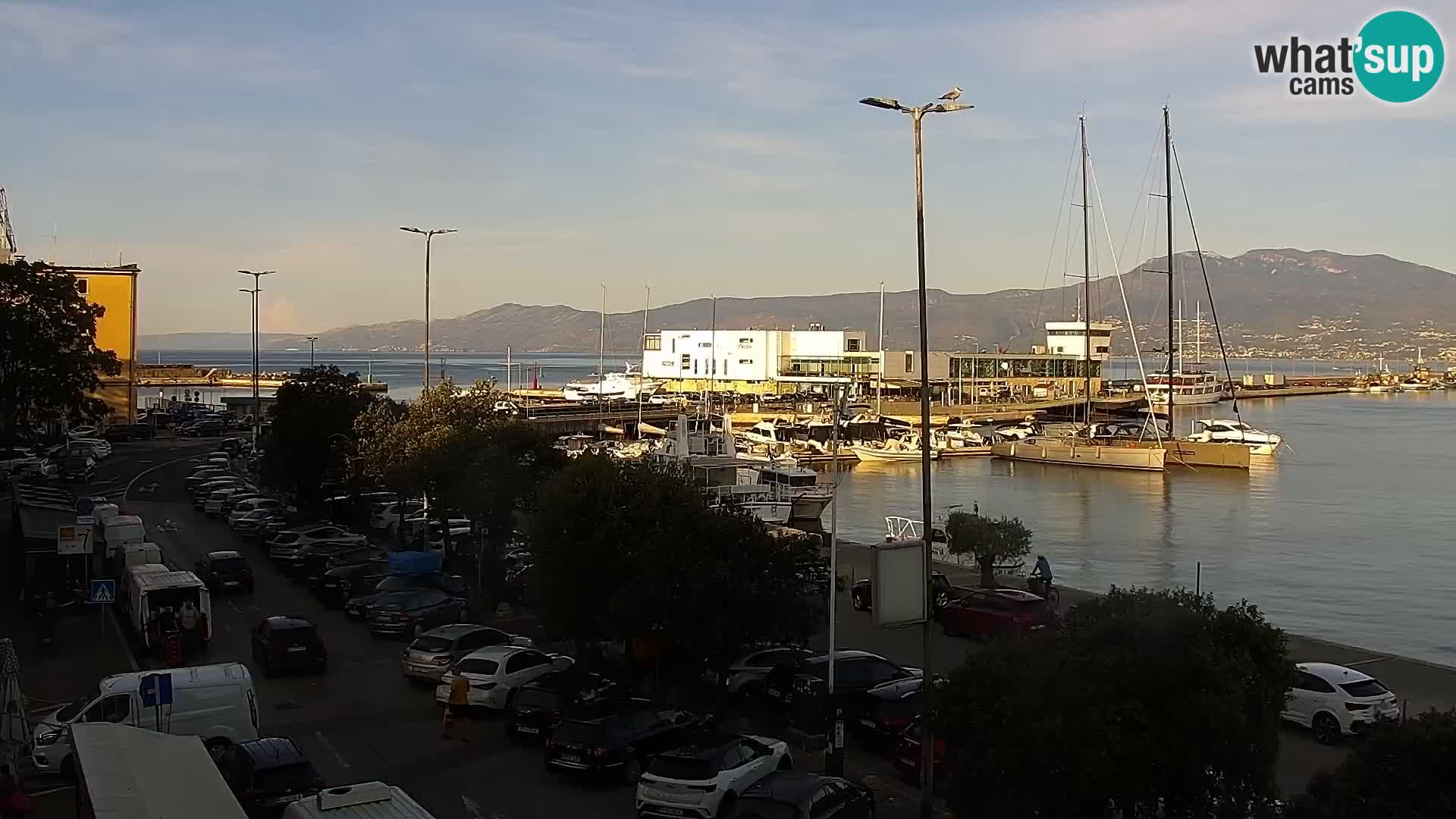 Riva i Marina u Rijeci – Web kamera uživo u Hrvatskoj