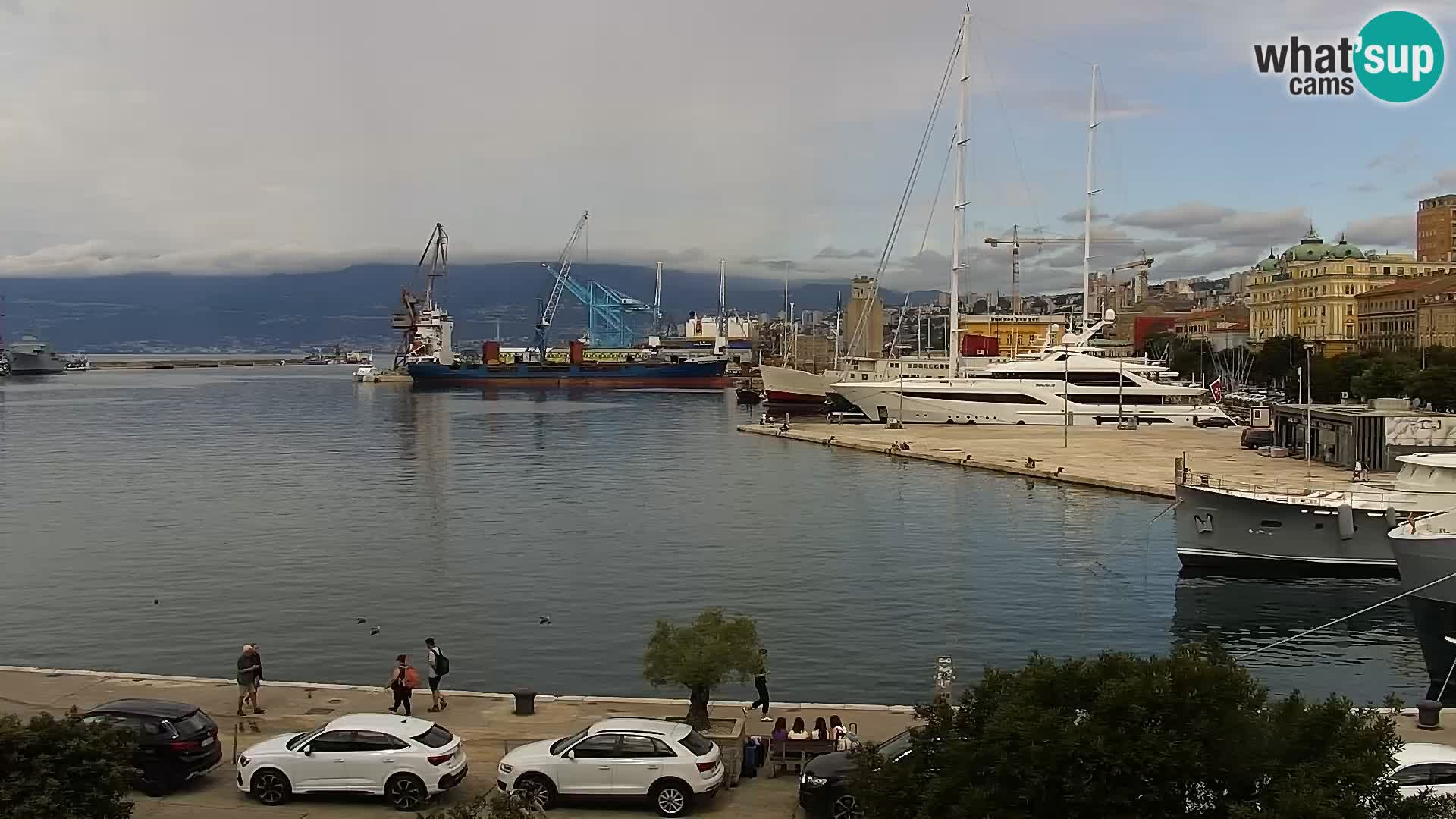 Riva i Marina u Rijeci – Web kamera uživo u Hrvatskoj