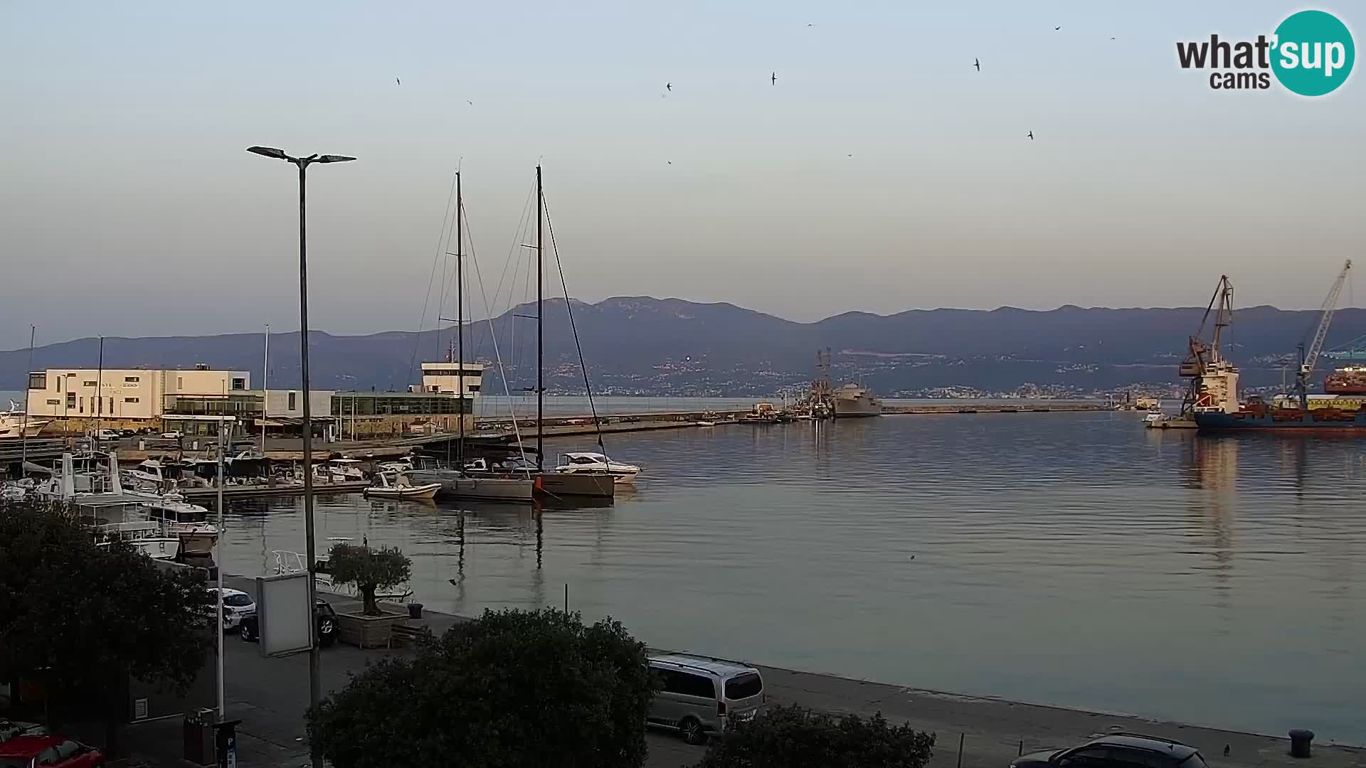 Riva in Marina v Reki – Spletna kamera v živo Hrvaška