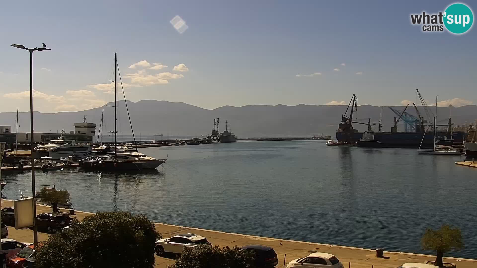 Riva in Marina v Reki – Spletna kamera v živo Hrvaška