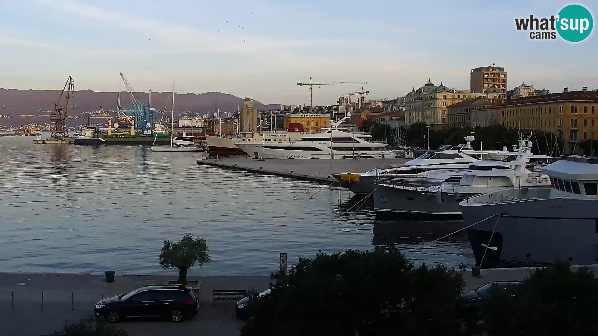 Riva i Marina u Rijeci – Web kamera uživo u Hrvatskoj
