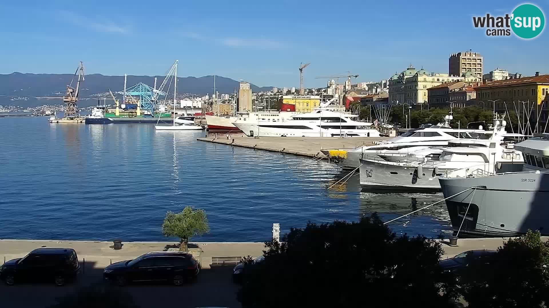 Riva i Marina u Rijeci – Web kamera uživo u Hrvatskoj