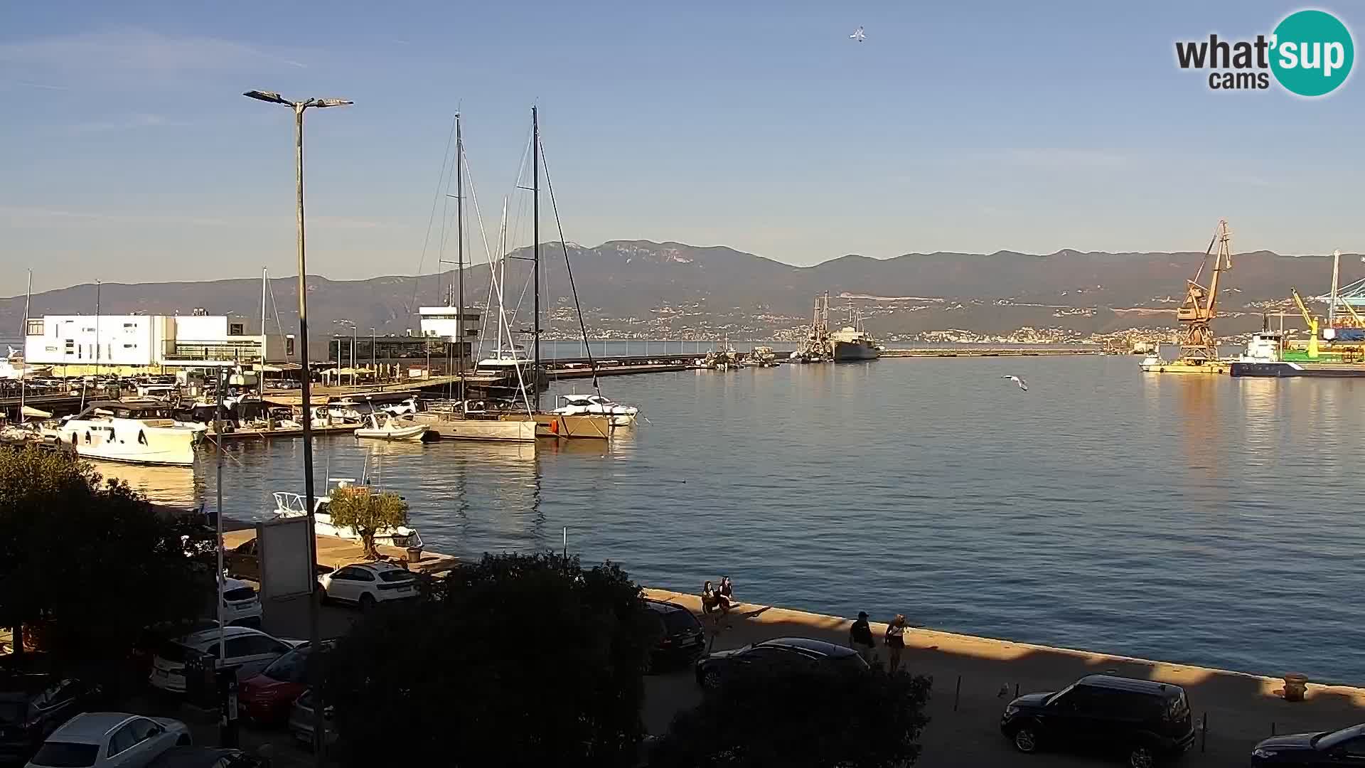 La Riva et Marina à Rijeka – Live Webcam Croatie