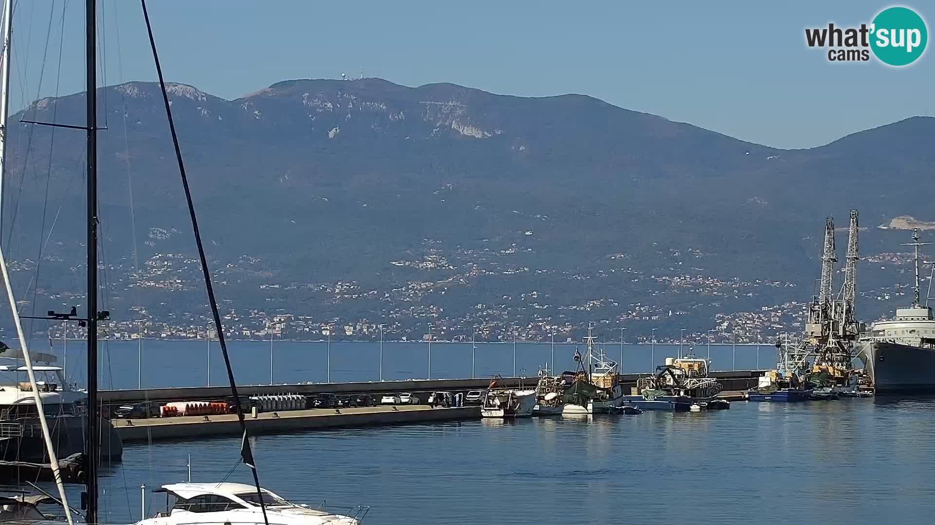 Riva i Marina u Rijeci – Web kamera uživo u Hrvatskoj