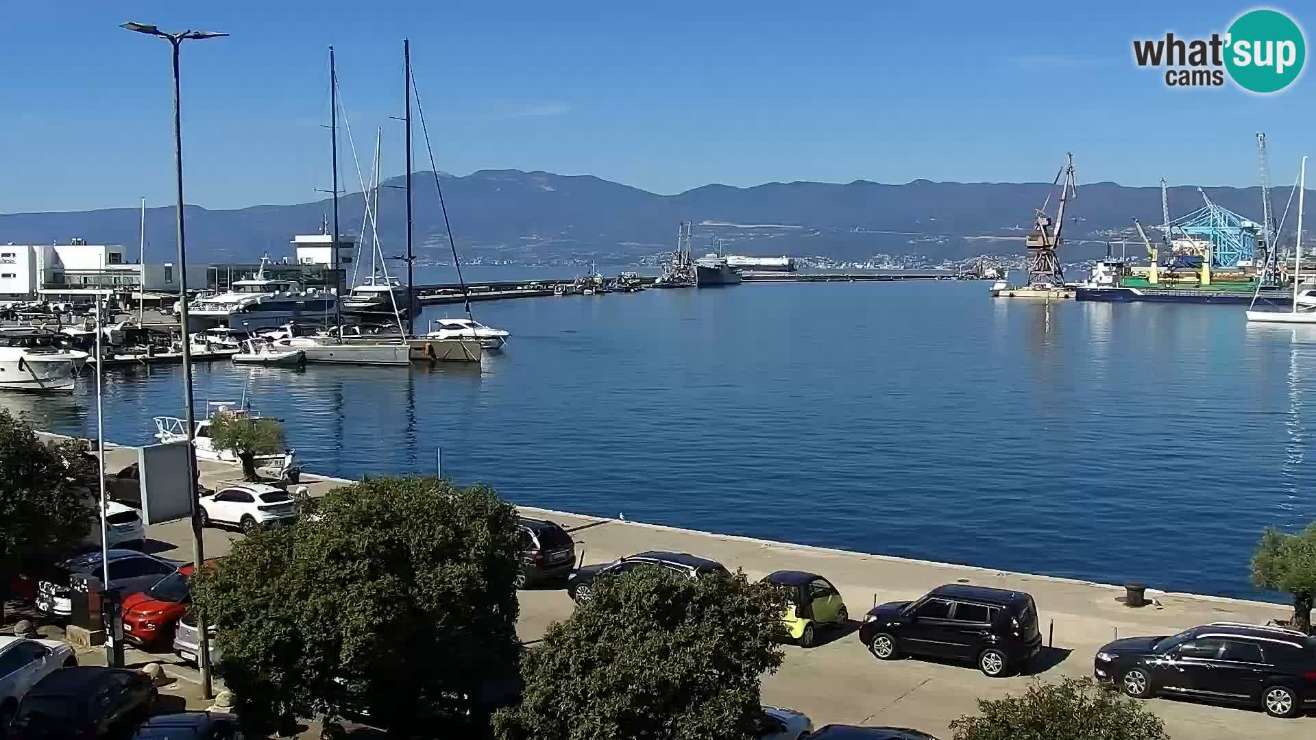 La Riva y Marina en Rijeka – Webcam en vivo Croacia