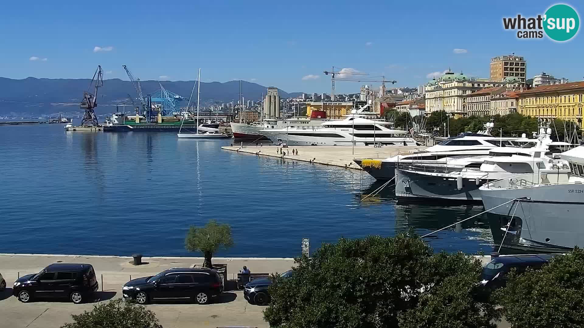 La Riva et Marina à Rijeka – Live Webcam Croatie