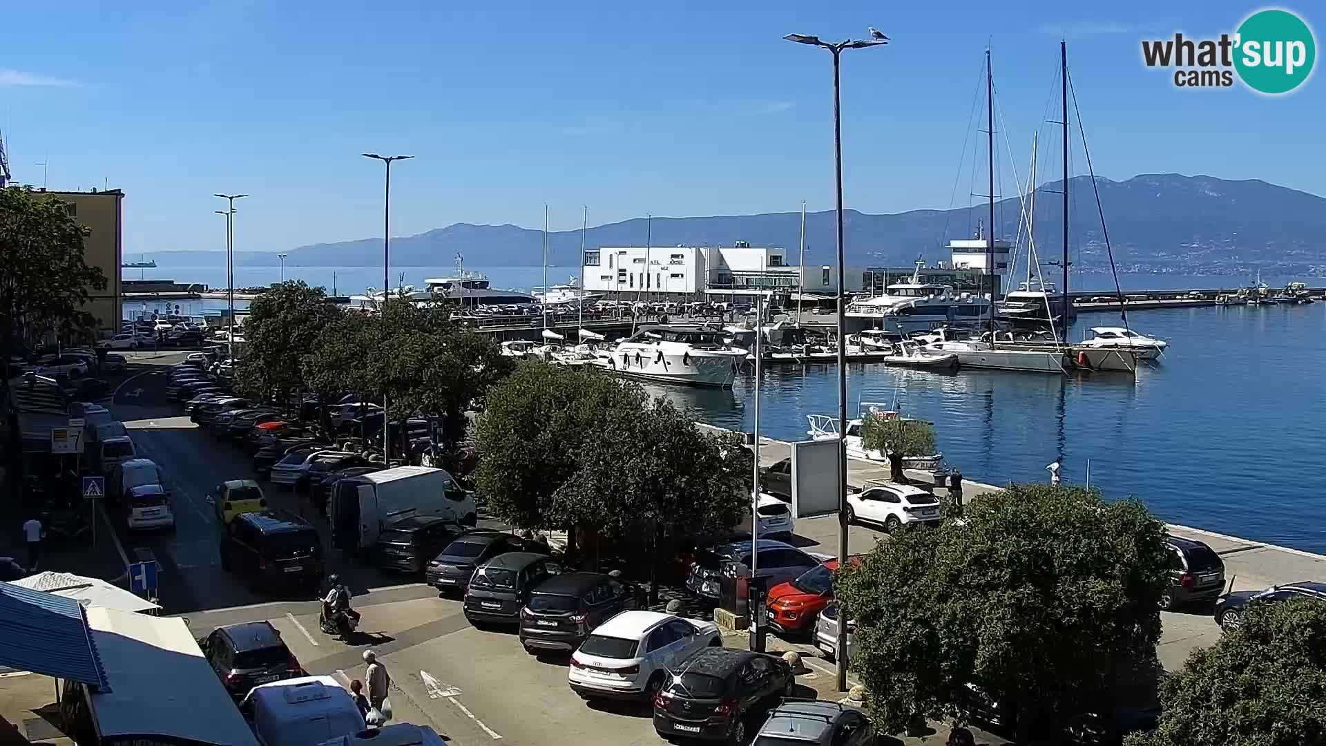 Riva in Marina v Reki – Spletna kamera v živo Hrvaška