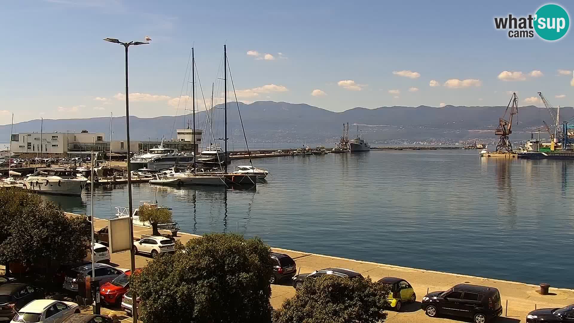 La Riva y Marina en Rijeka – Webcam en vivo Croacia