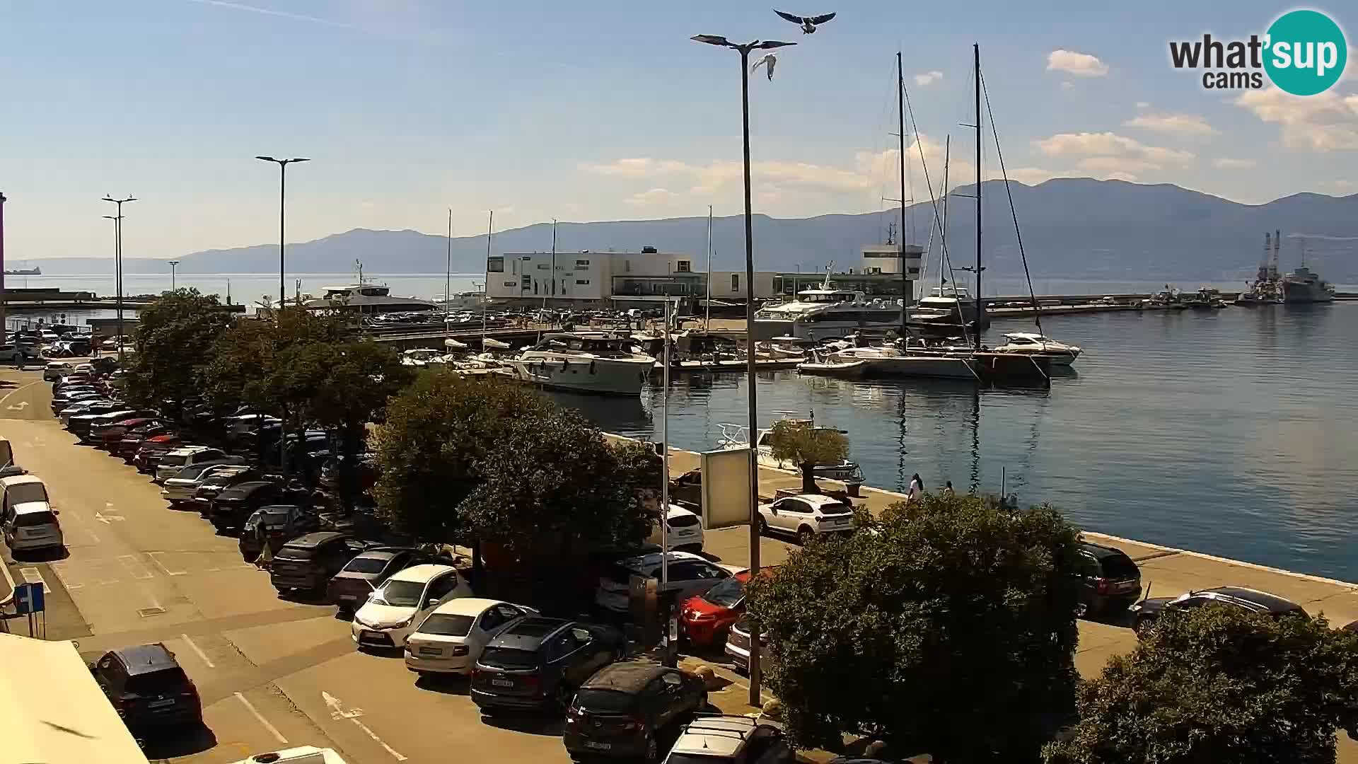 Riva i Marina u Rijeci – Web kamera uživo u Hrvatskoj