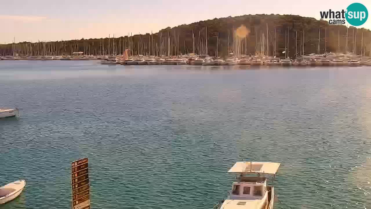 Rogoznica – Obala Kneza Domagoja
