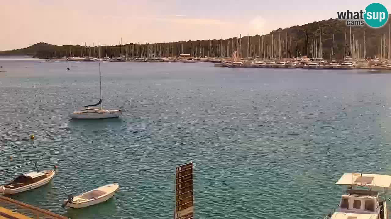 Rogoznica – Seashore Kneza Domagoja