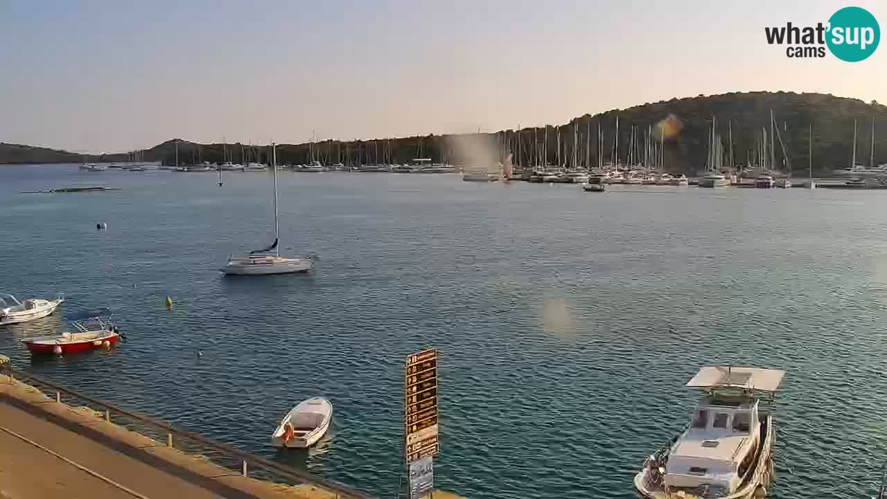 Rogoznica – Seashore Kneza Domagoja