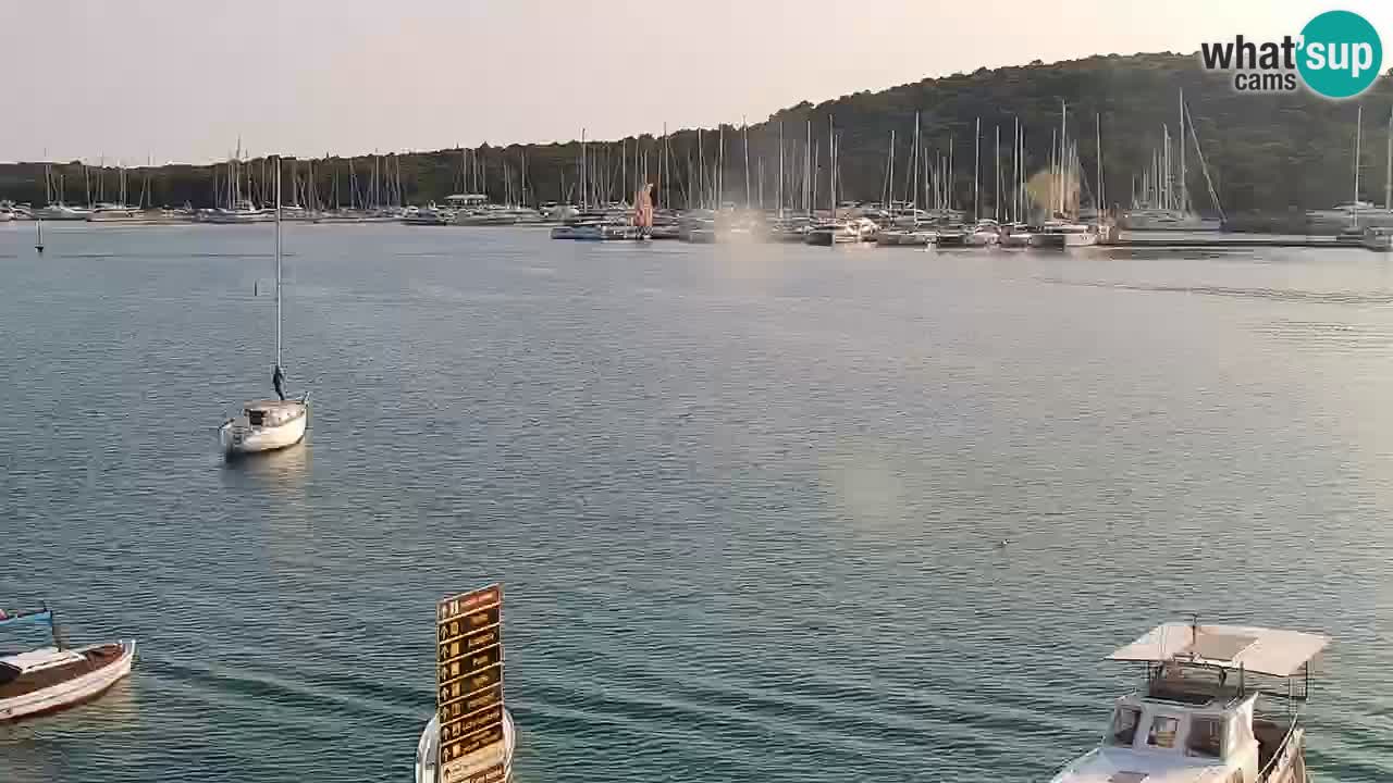 Rogoznica – Seashore Kneza Domagoja