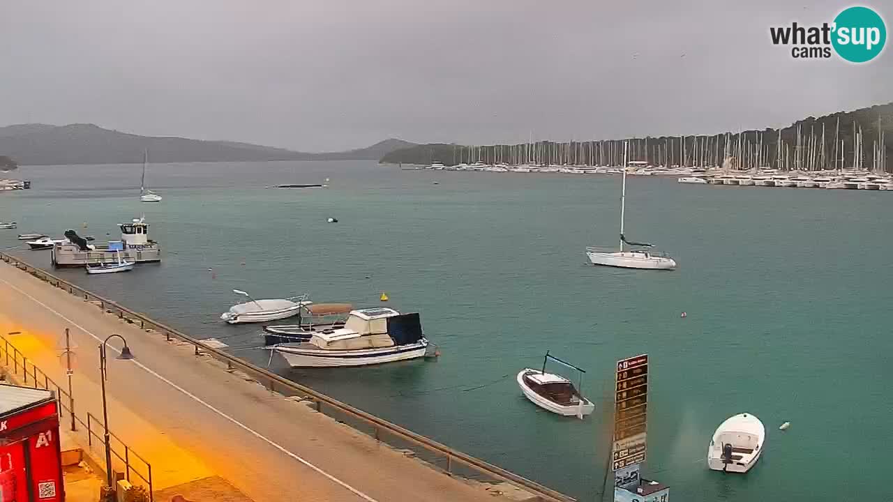 Rogoznica – Litorale Kneza Domagoja