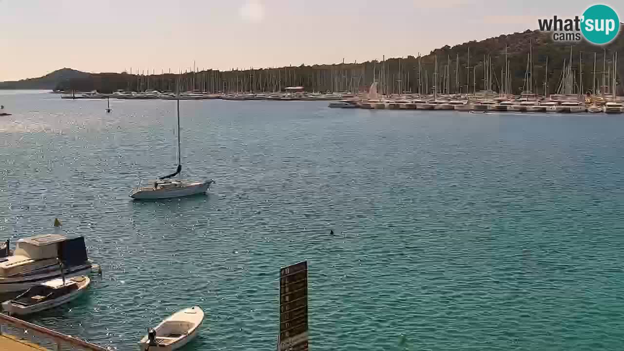 Rogoznica – Küste Kneza Domagoja