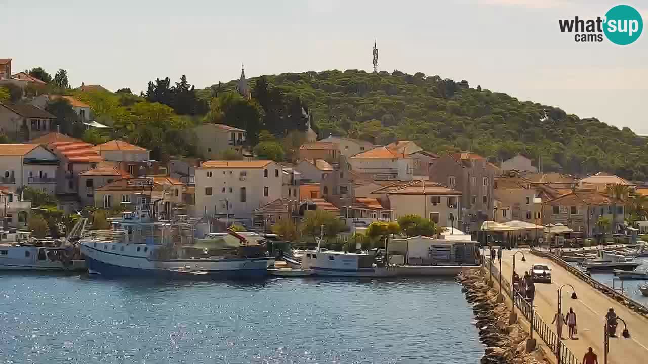 Rogoznica – Litorale Kneza Domagoja