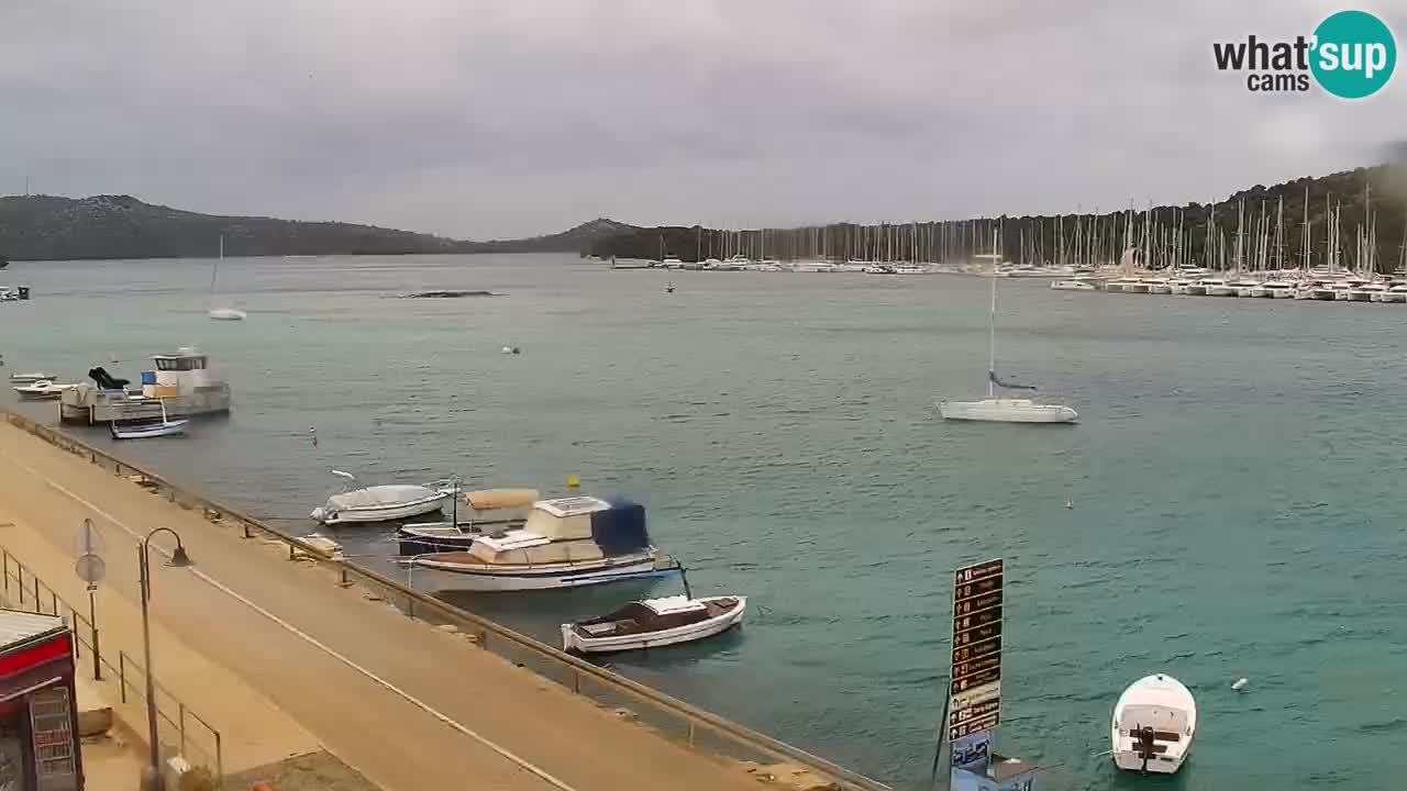 Web kamera - Rogoznica