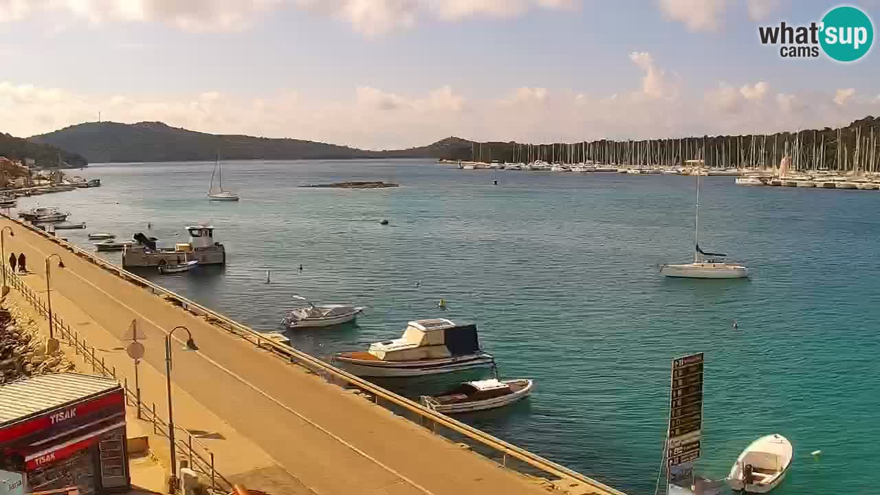 Web kamera - Rogoznica