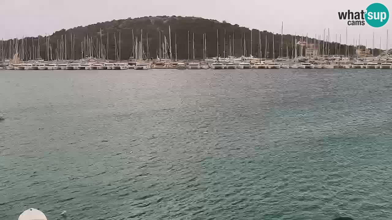 Kamera na żywo - Rogoznica