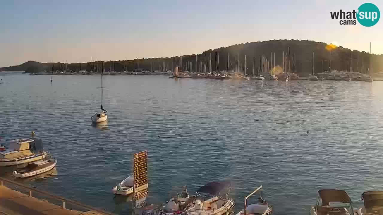 Webcam - Rogoznica