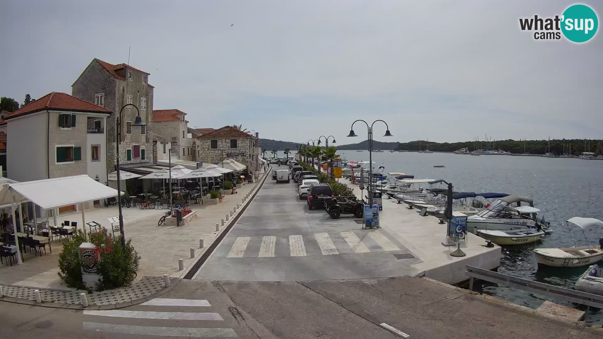 Isola di Rogoznica live cam Croazia
